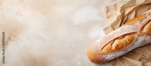 Fresh baguette on isolated pastel background Copy space