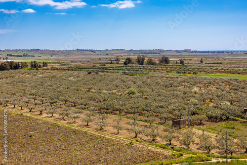 Nature near Castelvetrano in western Sicily