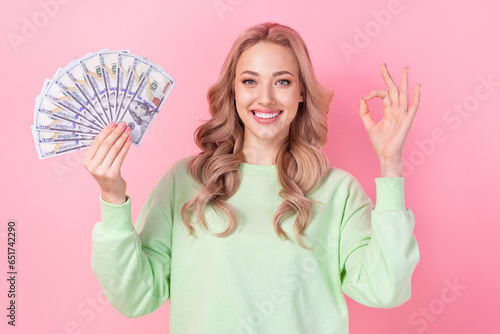 Portrait of attractive young business lady show okey sign demonstrate her savings money bank deposit isolated on pink color background