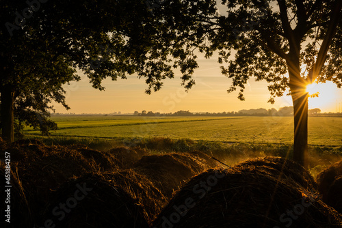 sun rises on a cold winter morning in the Netherlands with steamy mist rising off round bales of hay. rural Dutch scene in the agricultural farmland area of Holland