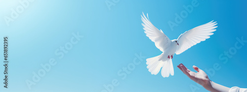 White dove flying through the sky to land on a person's hand