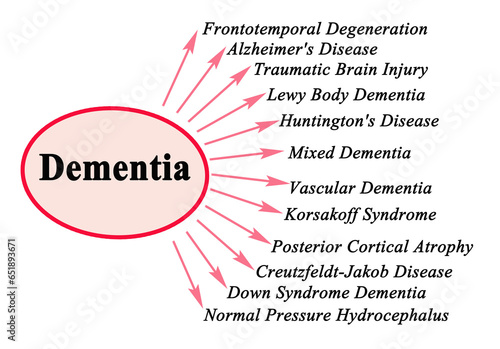 Twelve types of Dementia