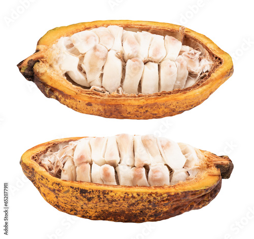 Cacao or Theobroma cacao fruit isolated on transparent background.