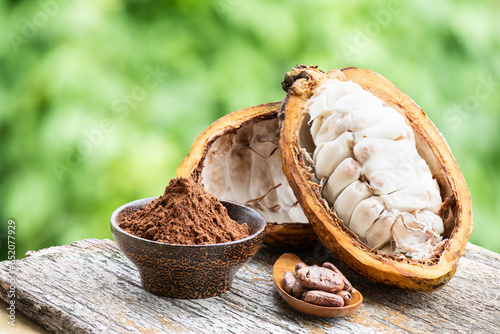 Cacao or Theobroma cacao fruit and powder on nature background.