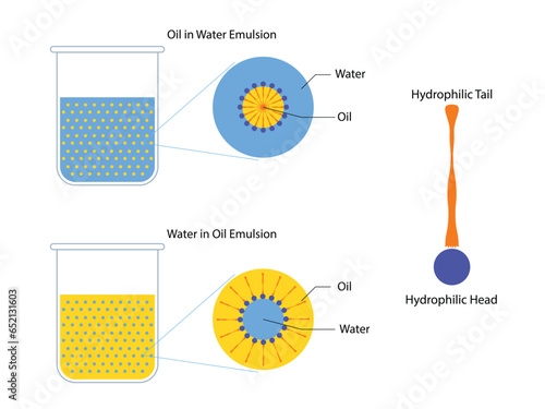 A mixture of two immiscible liquids in tubes, Emulsion oil in water and water in oil