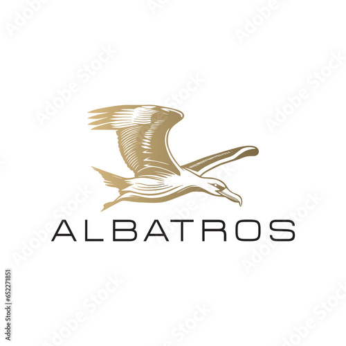 albatros logo design vector icon symbol