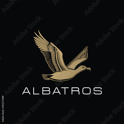 albatros logo design 