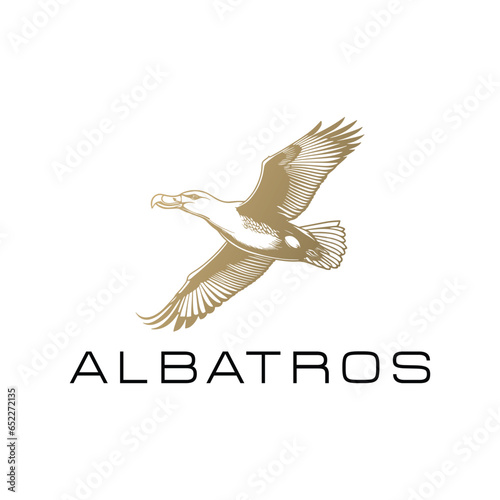 albatros logo design vector 