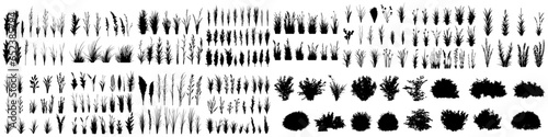 set of bush grass shrub herb silhouette vector transparent background eps 10