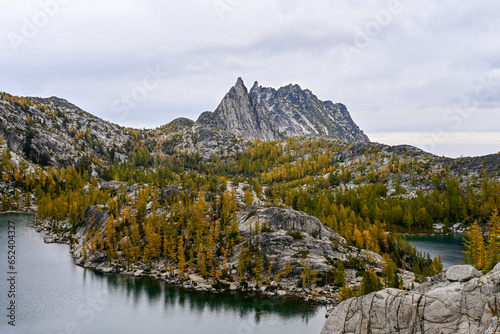 Larch season in the enchantments 