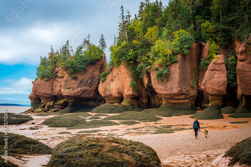 Woman walking her dog at low tide, Hopewell Rocks Provincial Park, Bay of Fundy, Hopewell Cape, New Brunswick, Canada. Photo taken in September 2023.