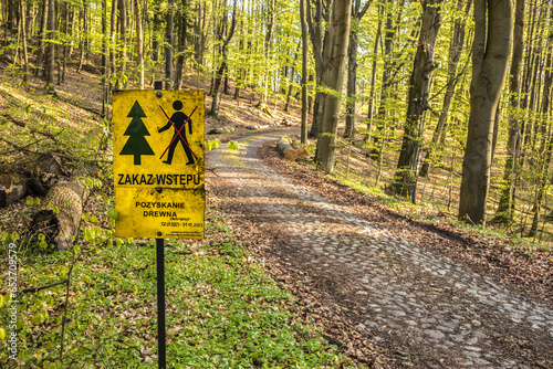 Umieszczona przy leśnej drodze tabliczka "zakaz wstępu - pozyskanie drewna"