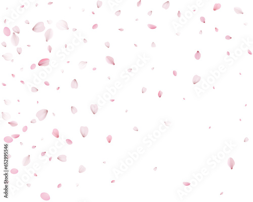 Cherry petals in a colorful spring swirl.