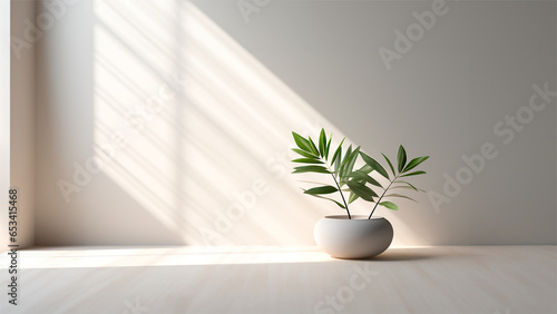 Jarron planta - Fondo color blanco - Sombras difusas - Ventana lateral - materiales blanco, jarron