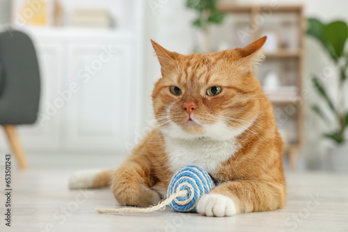 Cute ginger cat playing with sisal toy mouse at home