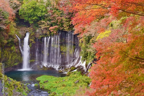 紅葉につつまれる白糸ノ滝/富士宮市 秋の風景