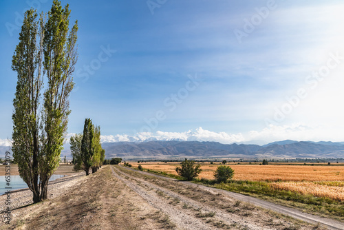 Road in an autumn mountain valley, trees on the hills against the backdrop of snow-capped mountains. Autumn mountain landscape.