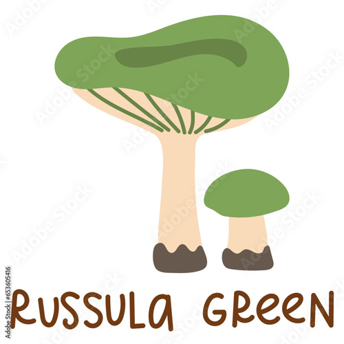 Colorful wild edible russula green with cartoon-style names. Isolated vector flat illustration. Syroezhka mushroom. Edible mushrooms in forests large and small green, plate, growing