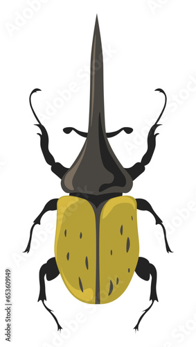 Bug Hercules beetle, Dynastes insects species
