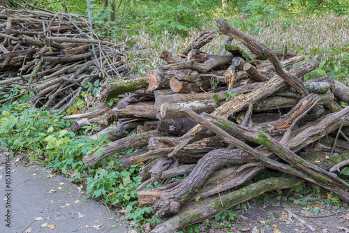 A pile of sawn dry trees and branches in a park or forest. Dry twigs pile ready for campfire, sticks, brushwood