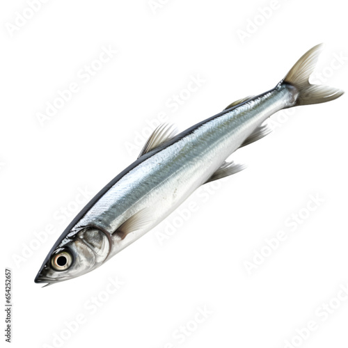 A Single Anchovy Isolated on Transparent or White Background