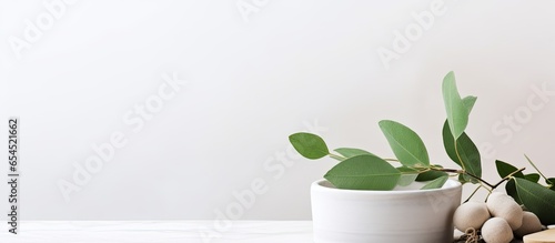 Eucalyptus leaves and white mortar pestle Ingredients for natural cosmetics and holistic spa concept