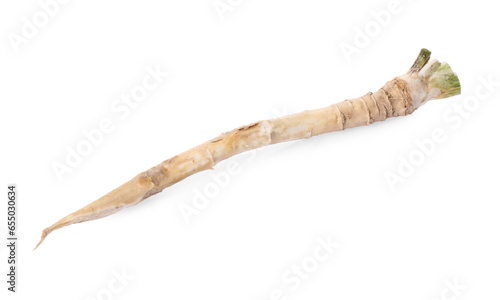 One fresh horseradish root isolated on white