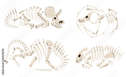 Dinosaur skeleton fossil bone dino museum archaeolog jurassic isolated set. Vector flat graphic design illustration 