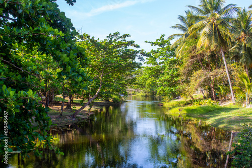 View of the Imbassai River with many almond trees, paradisiacal village, on the coast of Bahia, Brazil, near Salvador and Praia do Forte