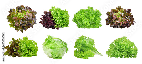 set of lettuce vegetable isolated, png