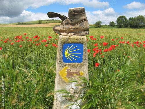 Camino de Santiago