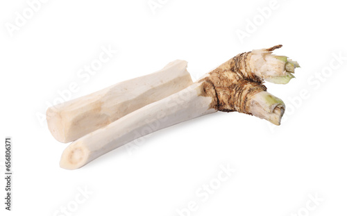 Fresh peeled horseradish roots isolated on white