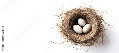 nest with eggs on a white background, copy space