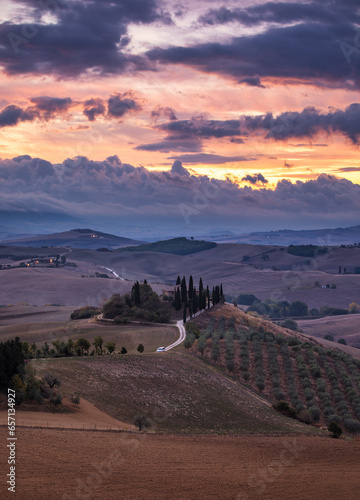 Hills, olive gardens and small vineyard under rays of morning sun, Italy, Tuscany. Famous Tuscany landscape with curved road and cypress, Italy, Europe