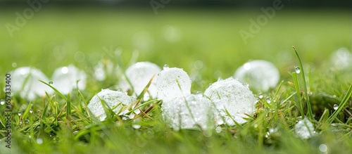 Large hailstone in grass after hailstorm shallow focus With copyspace for text