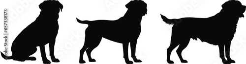 rottweiler dog breed black silhouette logo set 