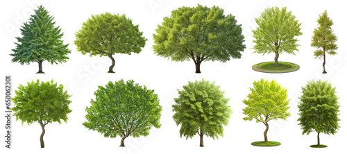 Background Transparent Tree Set
