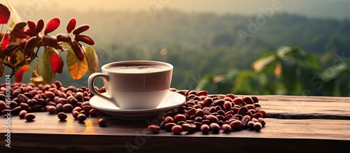 Coffee cup with organic red coffee beans and roasted beans on wooden table with plantation backdrop and space for text