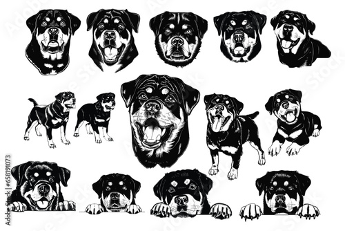 Rottweiler Bundle: Vector Illustrations Celebrating the Strength and Loyalty of Rottweilers