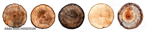 Round wooden tree slice trunk stump wood on transparent background cutout, PNG file. Many assorted different Mockup template for artwork design