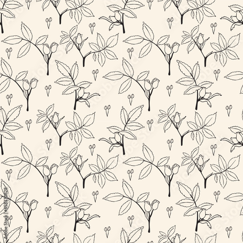 Seamless floral background with rosehips. Hand-drawn vector Illustration