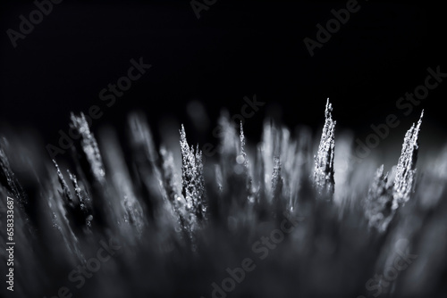 Iron dust spikes. Reaction of iron filings to a magnetic field. Visualisation. Texture, of magnetic particles. Black and white futuristic.