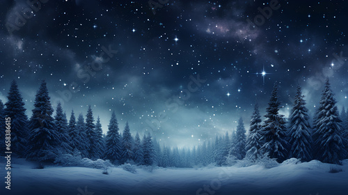winter night landscape. snowy forest and fir branches. 