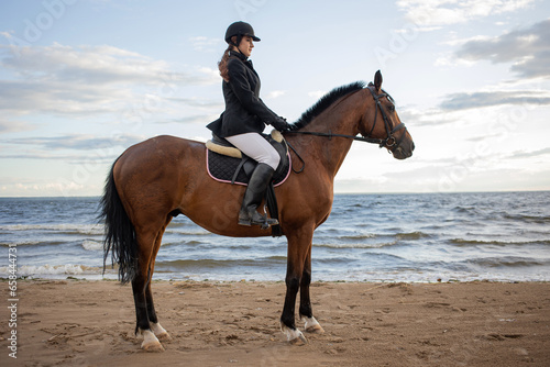 Horsewoman in equestrian sports gear, riding a horse, on the beach, portrait on the background of the sea, horseback riding outdoors