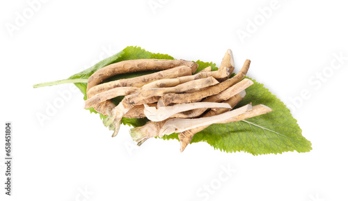 Cut horseradish roots and leaf isolated on white, top view