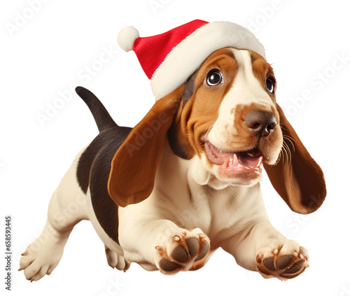 Basset Hound dog puppy wearing a Santa Claus hat isolated on transparent background cutout, PNG file. for product presentation. banner, poster, card, t shirt, sticker
