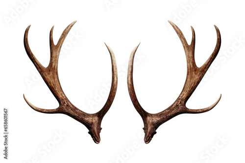 Reindeer horns, deer antlers isolated on white transparent background, PNG. Christmas decoration 