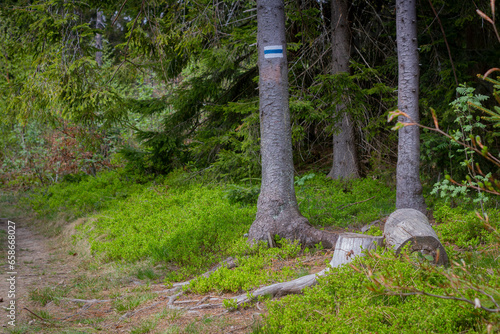 Mountain hiking trail | Pieszy szlak górski