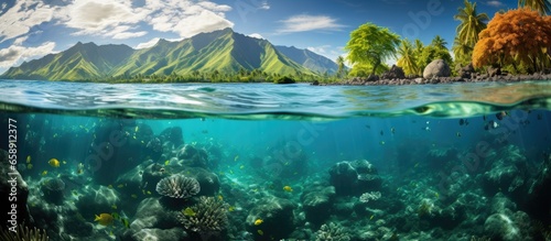 Tahiti lagoon in French Polynesia an underwater scene with corals algae and sunlight penetrating the water surface With copyspace for text