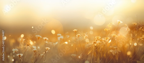 Blurred outdoor background with golden light representing hope and abstract nature vacation in Ramadan